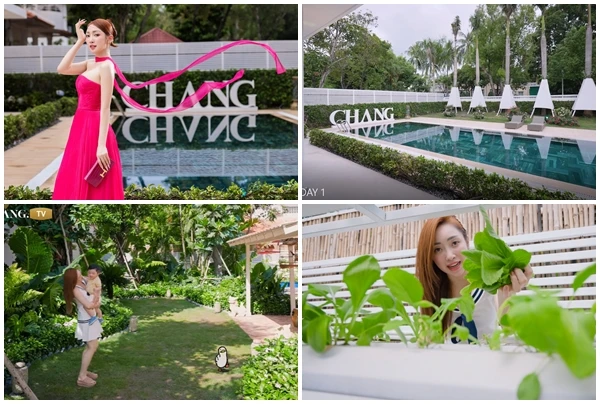 Sân vườn xanh mướt trong biệt thự triệu đô của Chi Bảo - Lý Thùy Chang