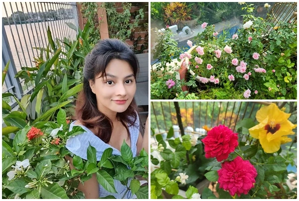 Mê mẩn khu vườn ngập tràn hoa hồng trong nhà Vũ Thu Phương