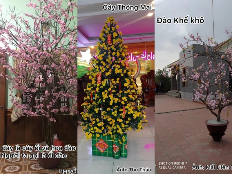 Những tác phẩm cây chưng Tết không thể “giả trân” hơn