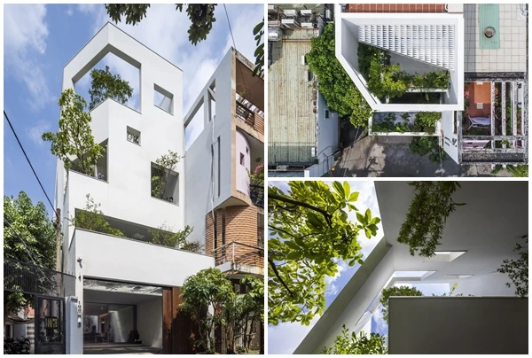 Báo Mỹ tấm tắc khen nhà phố ngập sắc xanh giữa Sài thành