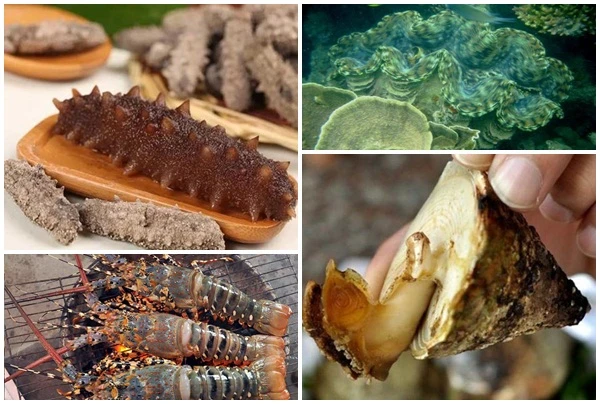 5 hải sản tiến vua nức tiếng thời xưa có giá bao nhiêu?