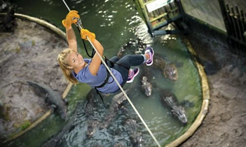 Hoảng hồn xem người liều lĩnh đu dây qua hồ cá sấu 
