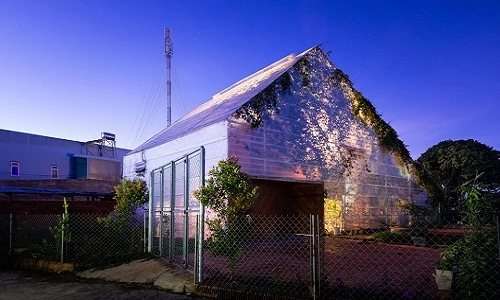 Ngắm nhà cấp 4 đẹp như tranh vẽ ở Đà Lạt