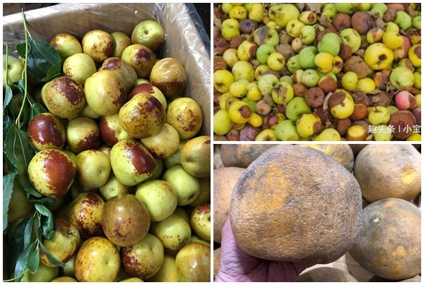 Bất ngờ 3 loại quả nhìn như dập thối nhưng giá "chát"