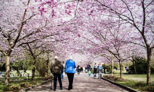 10 quốc gia hạnh phúc nhất trên thế giới