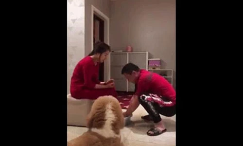 Video: Khoảnh khắc “gió đổi chiều” chỉ trong một tích tắc