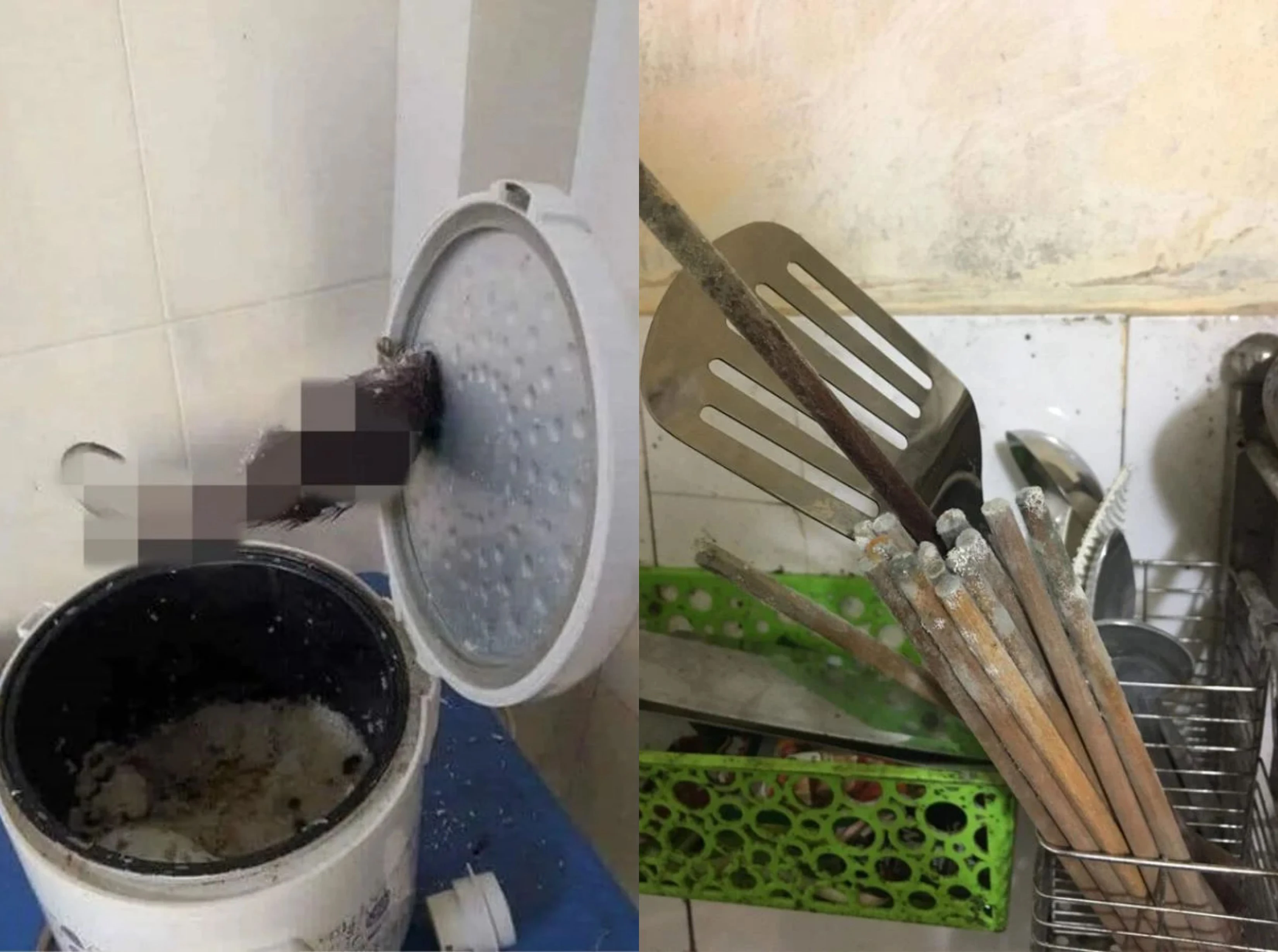 Trở lại phòng trọ sau Tết, sinh viên phát hiện có "khách lạ"