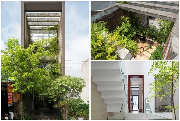 Báo Mỹ nức nở khen nhà ống ngập cây xanh ở Bắc Ninh