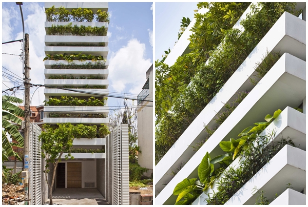 View - Độc đáo vườn cây trổ ra từ mặt tiền nhà ống giữa Sài Gòn | Báo Tri thức và Cuộc sống - TIN TỨC PHỔ BIẾN KIẾN THỨC 24H