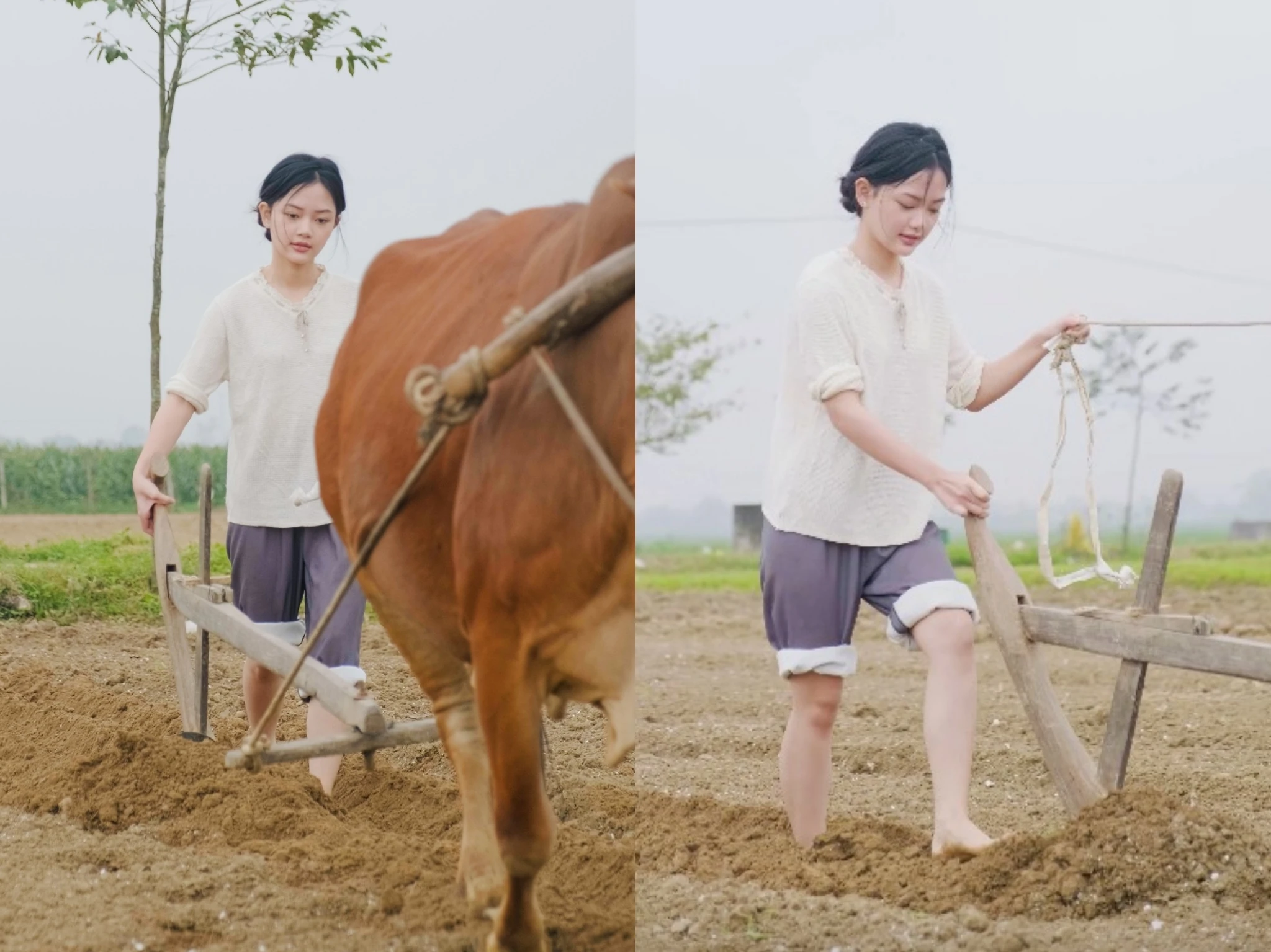 Danh tính gái xinh chăn bò gây bão mạng, tưởng ai hóa người quen