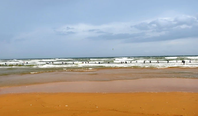 Ra biển ngày gió bão làm việc "này", ngư dân kiếm tiền triệu mỗi ngày