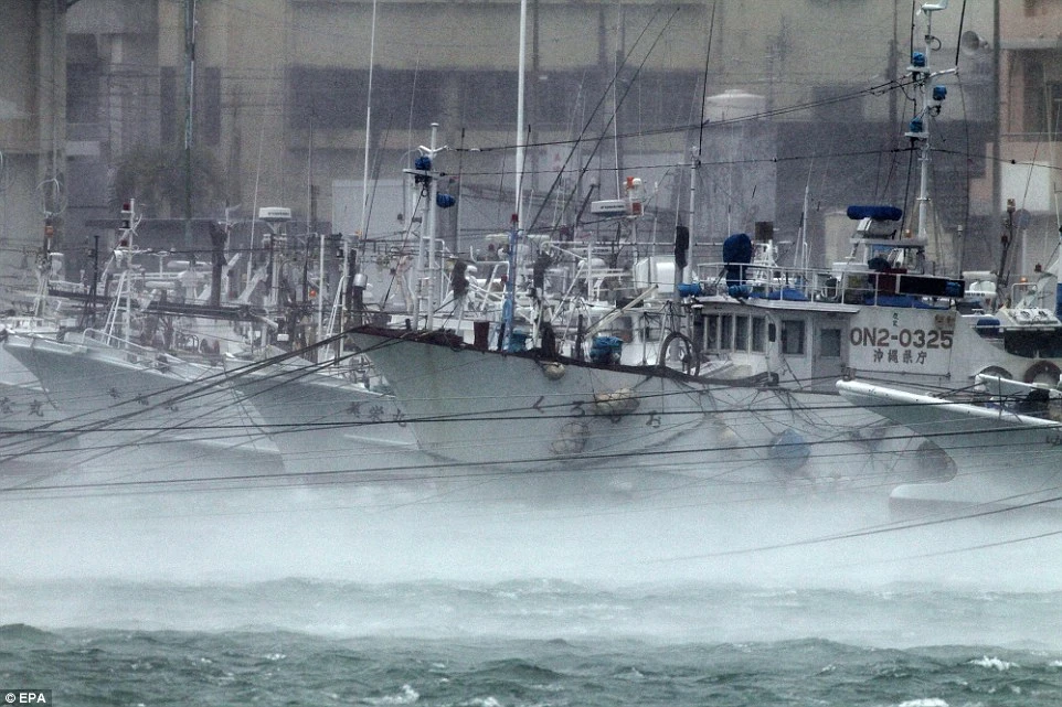 Toàn cảnh siêu bão Neoguri tấn công Nhật Bản