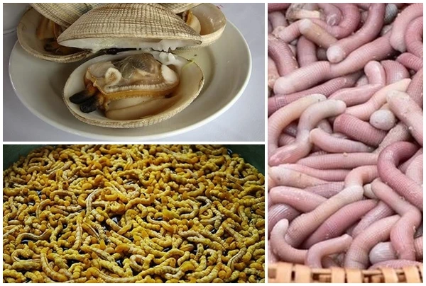 3 đặc sản ví như “thần dược phái mạnh” tiền triệu vẫn hút khách