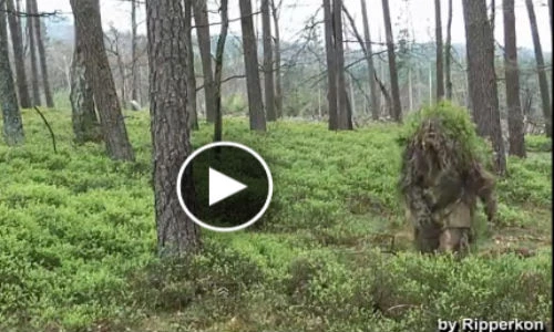 Kỳ lạ trang phục biến người lính thành bãi cỏ, lùm cây