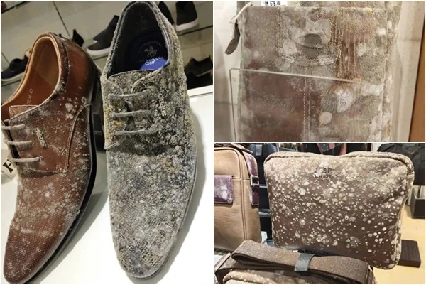 Đồ hiệu “mốc meo” sau hai tháng cửa hàng nghỉ dịch COVID-19