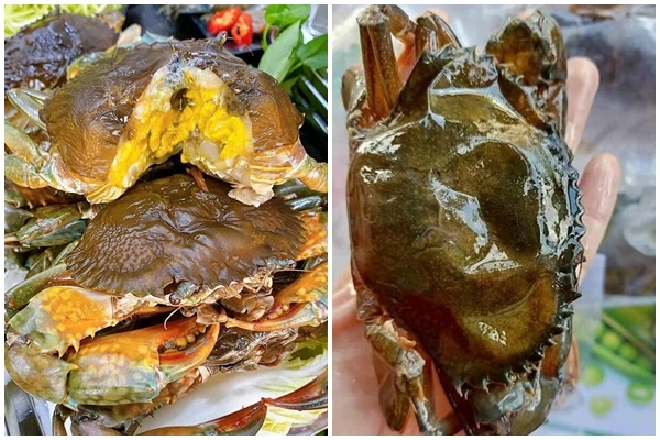 Sự thật đằng sau cua lột hơn 20.000 đồng/con bán đầy chợ mạng