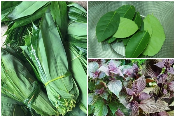 Loại lá rẻ bèo ở Việt Nam xuất ngoại “đắt như tôm tươi“