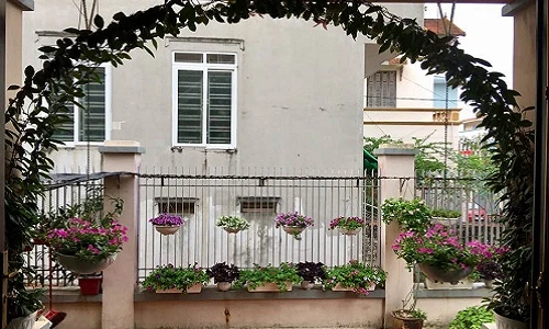 Ngắm nhà phủ đầy hoa quý của ca sĩ Bích Phương 