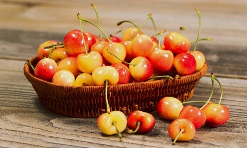 Tận mục chery hoàng gia giá “chát” hút hồn nhà giàu Việt