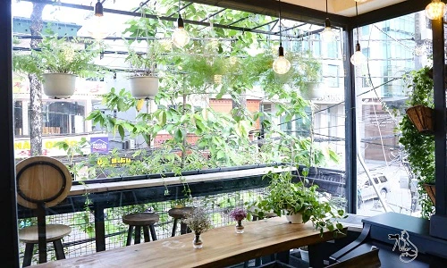 Dân xê dịch thích thú với homestay làm bằng gỗ tái chế