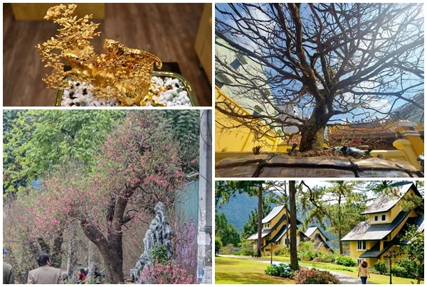 Nhà giàu Việt chi "khủng" sắm đồ chơi Tết thế nào?