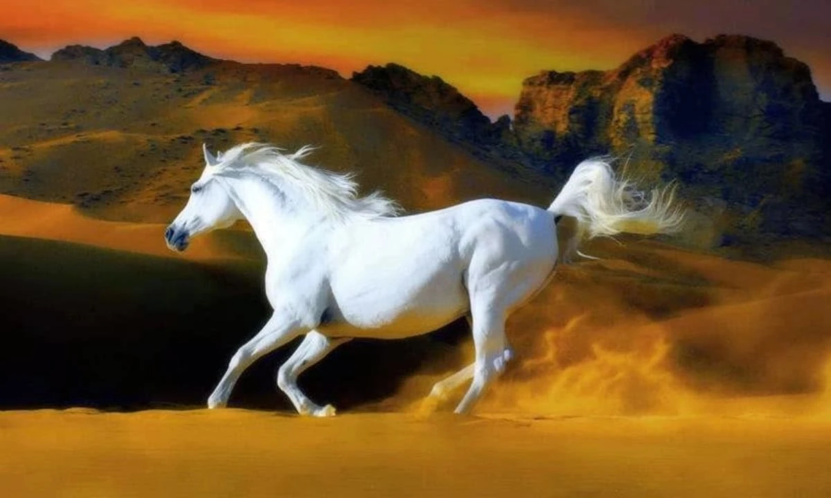 Top 3 con giáp phát tài rực rỡ, tiền bạc ngập két chỉ trong 4 tháng cuối năm 2022