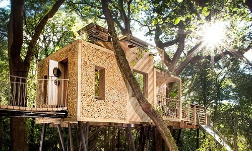 Thích thú ngôi nhà trên cây hiện đại nhất nước Anh