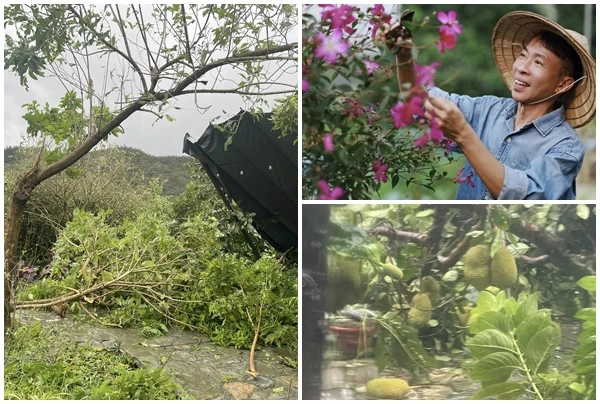 Bên trong cơ ngơi rộng 10.000m2 của NSƯT Việt Hoàn