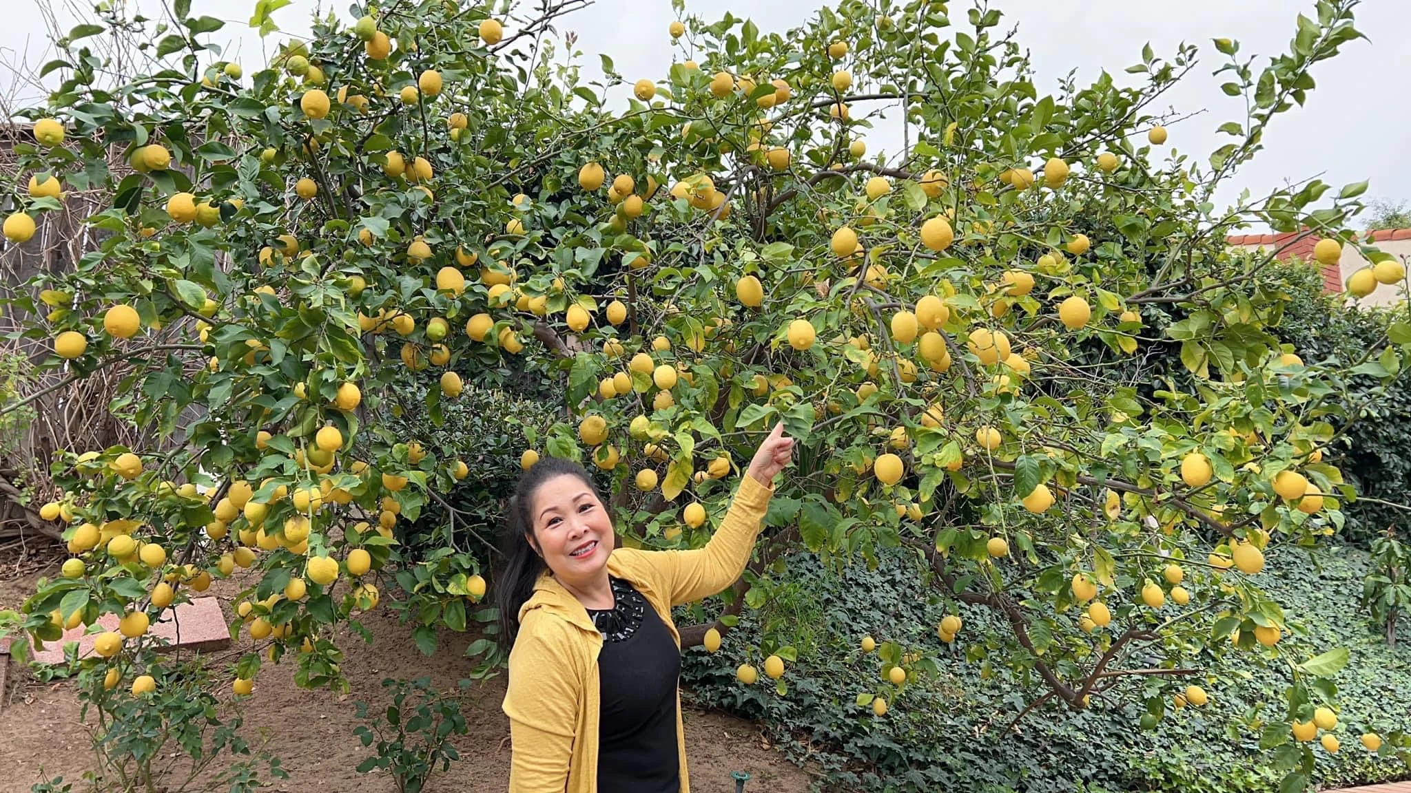 Toàn cảnh biệt phủ nghỉ dưỡng rộng thênh thang của NSND Hồng Vân 