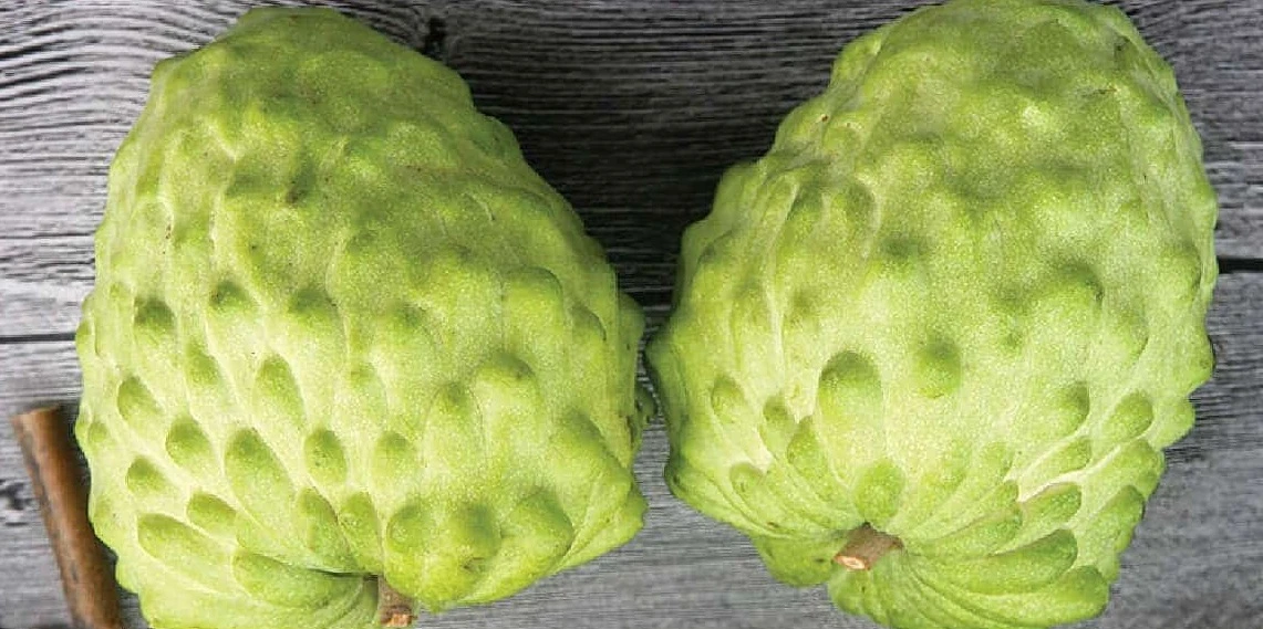 Na nhà giàu "đi máy bay" về Việt Nam.... giá chát muốn mua cũng khó