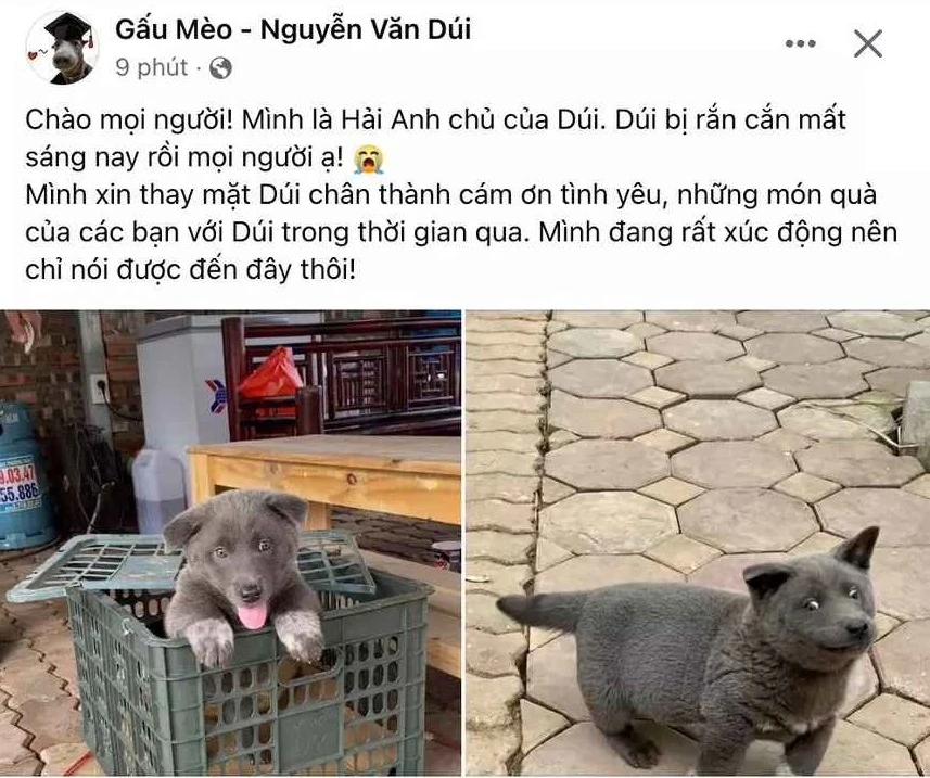 Idol Nguyễn Văn Dúi qua đời, người chủ tiết lộ lý do