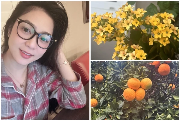 Mãn nhãn biệt thự ngập hoa của Hà Thanh Xuân tại Mỹ