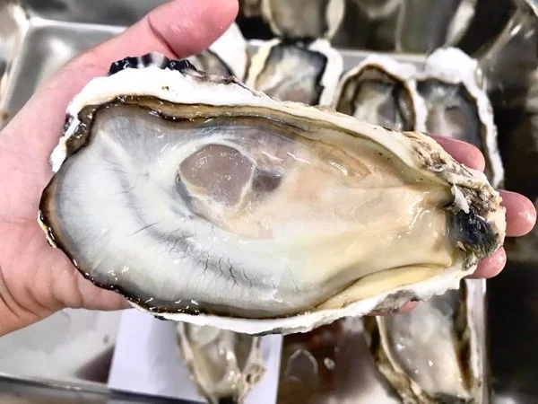 Chán hàu nội, nhà giàu Việt thử hàu Nhật tách vỏ tiền triệu