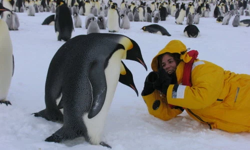 Để có ảnh động vật đẹp, nhiếp ảnh gia vất vả thế này đây