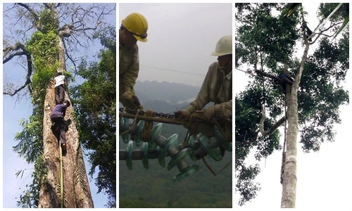 Đây là nghề nguy hiểm nhất Việt Nam kiếm bộn tiền?