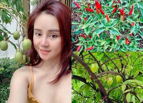 Đột nhập khu vườn ngập rau quả trong biệt thự của Vy Oanh