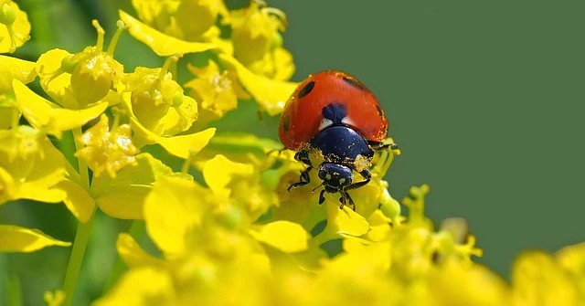 Cuối tháng 4 đầu tháng 5, 3 con giáp làm nên chuyện lớn 