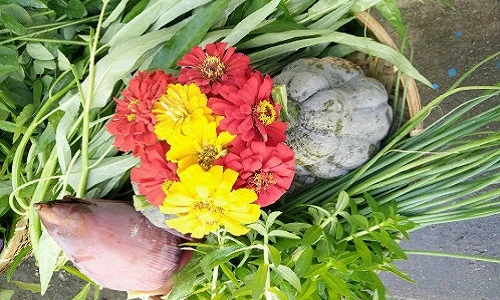 Ngất ngây vườn rau quả Việt trĩu giàn tại Đài Loan