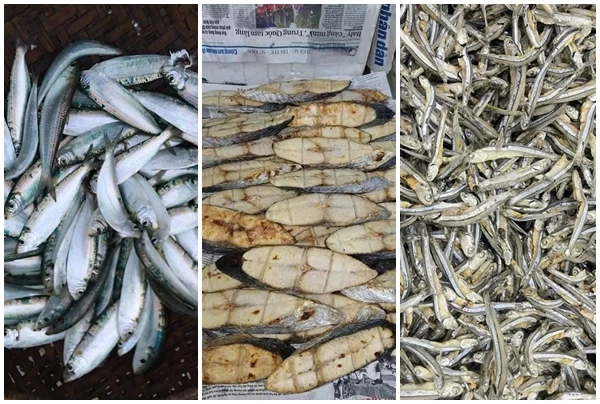 3 loại cá “tốt hơn cá hồi” bán đầy chợ Việt 