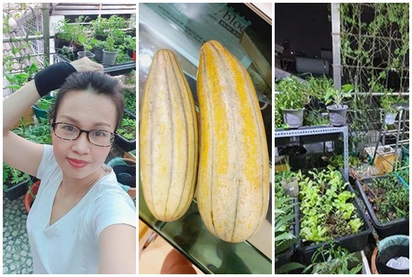 Mãn nhãn khu vườn xanh mướt trên sân thượng nhà Cẩm Ly