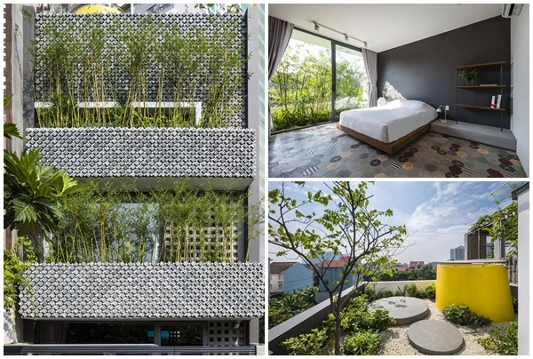 Giữa Sài thành, nhà ống không thiếu gió và cây xanh