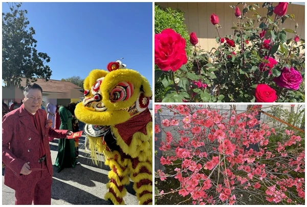 Tỷ phú gốc Việt say đắm Ngọc Trinh một thời giờ ra sao?