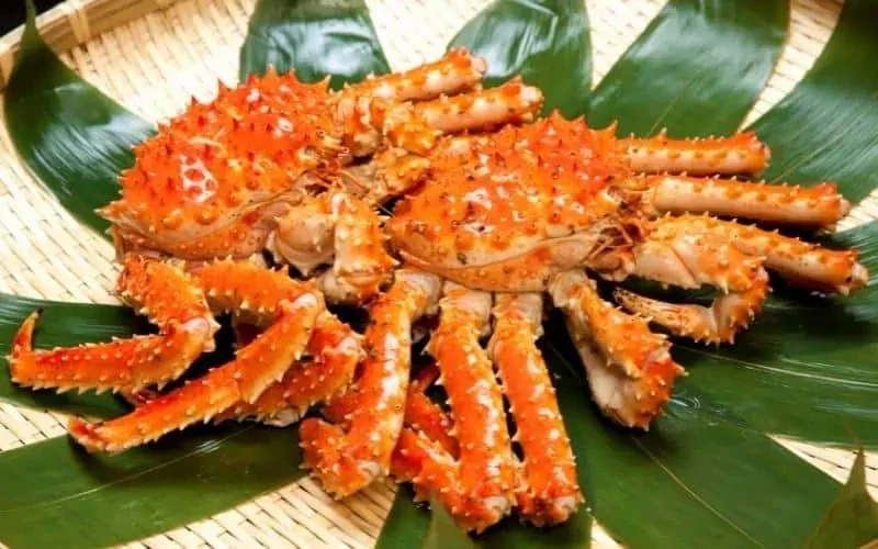 Tiết lộ lý do khiến cua hoàng đế cực kỳ đắt đỏ