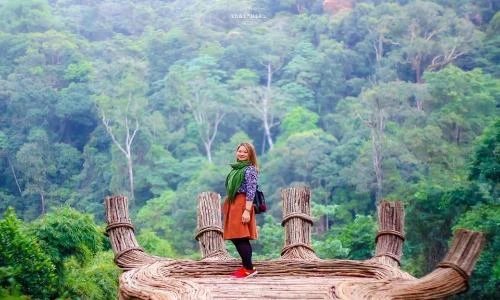 Giới trẻ về Đà Lạt tìm “bàn tay Phật” để check-in