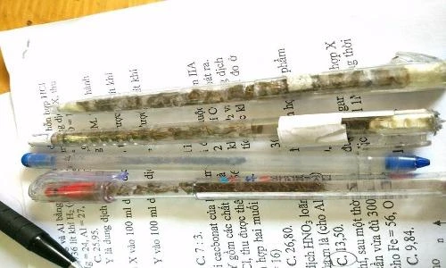 Thú vui kì dị mới của dân mạng: Sưu tầm muỗi