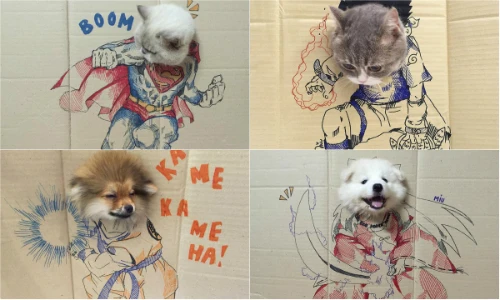 Thú cưng may mắn khi được chủ thay đổi hình tượng liên tục