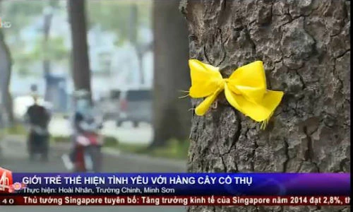 Giới trẻ Sài Gòn gắn ruy băng tạm biệt cây cổ thụ