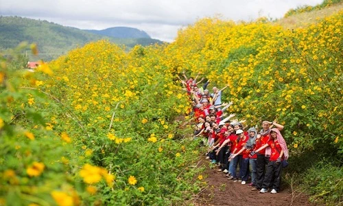 Những điểm ngắm hoa dã quỳ đẹp khắp cả nước