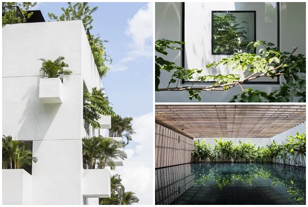 Giành giải kiến trúc quốc tế, nhà Sài Gòn có gì đặc biệt?