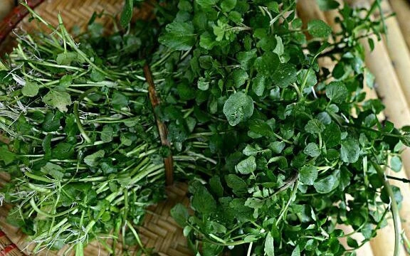 Bất ngờ loại “rau tốt nhất thế giới” bán đầy ở chợ Việt